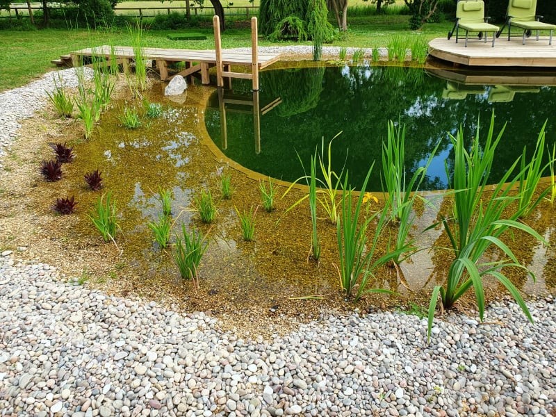 Natural Swimming Ponds & Pools in Oxfordshire | YGP Pond ServicesYGP ...